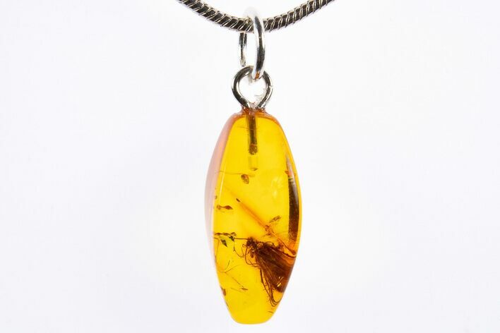 Polished Baltic Amber Pendant (Necklace) - Contains Caddisfly! #322035